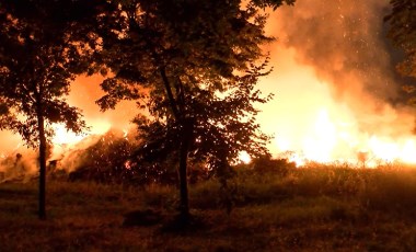 Son dakika... Ataköy'de ağaçlık alanda yangın