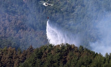 Gaziantep ve Çanakkale'de ormanlara giriş yasaklandı