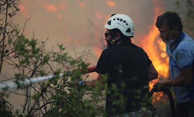 Marmaris'teki orman yangının acı bilançosu açıklandı