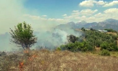 Antalya'da makilik alanda yangın