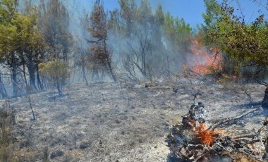 Antalya'da orman yangını: 15 dekar makilik ile zeytin ve çam ağaçları yandı