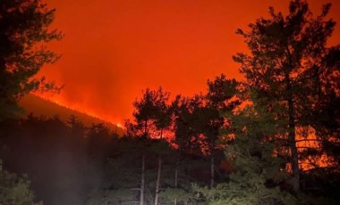 Son dakika... Milas’ta başlayan yangın Bodrum’a sıçradı: Mazı için tahliye kararı