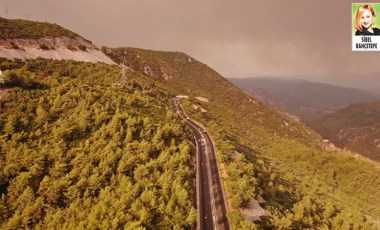 Orman yangınlarında ortaya çıkan dumanın insan sağlığına ciddi anlamda etkiliyor