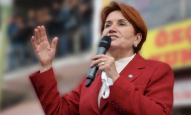 Akşener'den sistem eleştirisi: Erdoğan’a da bu iş zarar vermiş