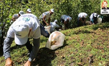 Fındık göçü nedeniyle kentteki vaka sayısı 10 kat arttı