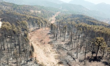 Köyceğiz'deki orman yangını kontrol altına alındı (12.08.2021)