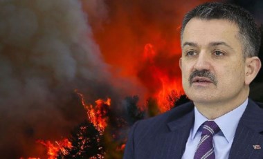 Son dakika: Pakdemirli'den orman yangınlarına ilişkin açıklama