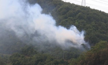 İstanbul'da orman yangını! Yine aynı bölgede çıktı