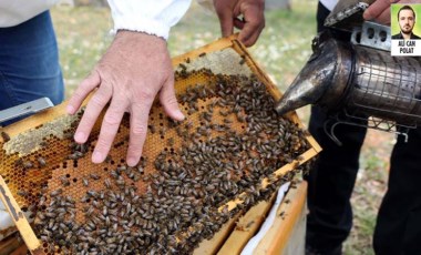 Balparmak, Marmarisli arıcılardan ön ödemeli bal alacağını duyurdu