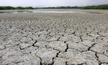 Bir milyar çocuk iklim krizi nedeniyle 'yüksek risk' altında