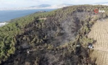 Heybeliada’da yangının bıraktığı hasar havadan görüntülendi