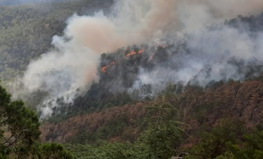 Adana'da çıkan orman yangını kontrol altına alındı