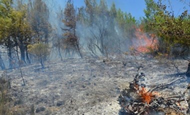 Antalya, Kastamonu ve Sinop'taki afet bölgeleri için acele kamulaştırma kararı