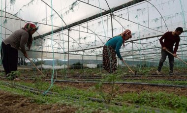 Tarımda çalışanlar için prim ödemede yeni dönem