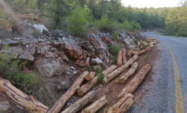 Akbelen ormanlarına mahkeme kararına rağmen iş makineleri soktular