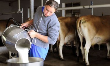 Süt üreticileri, üretici ile market fiyatları arasındaki farktan şikayetçi