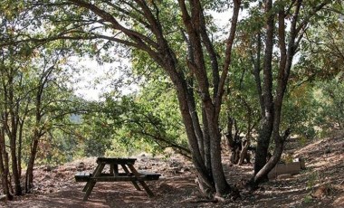 Tunceli'de ormanlık alanlara giriş çıkışlar 30 gün yasaklandı