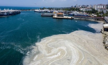 Müsilajlı Marmara’dan Silikon Vadisi’ne bir bilmecenin peşinde