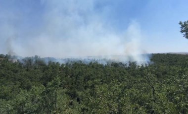 Çorum’da orman yangını