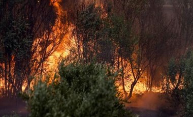 Manavgat'taki yangınla ilgili 16 yaşındaki bir şüpheli tutuklandı