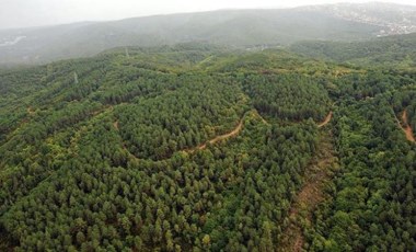 Uydu fotoğrafları ortaya çıktı: Yanmayan ormanları da rant için yok edecekler