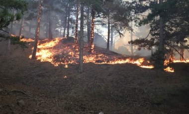 MSB: “Denizli'deki yangına müdahale için 11. Komando Tugay Komutanlığının iş makineleri ve personeli görevlendirildi”