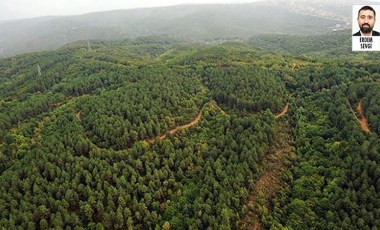 Orman Genel Müdürlüğü, orman yangınları için ayrılan bütçeyi kullanmadığı ortaya çıktı