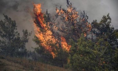 Tüketiciyi Destekleme Derneği'nden 