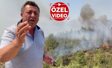 CHP'li vekil çileden çıktı: Bu bir çaresizlik! Orman Bakanı nerede?