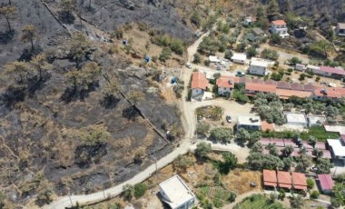 AB Kopernik Atmosfer Gözlem Servisi: Türkiye'de yangın yoğunluğu rekor düzeyde