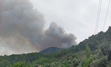 Aydın'ın Bozdoğan ve Çine ilçelerinde orman yangını: Belediye yurttaşlara acil ekipman çağrısı yaptı