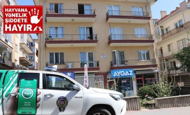 Ankara'da vahşet: Bahçesinde 10 ölü köpek bulundu, gözaltına alındı