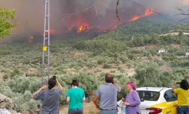 Aydın'a sıçrayan yangında son durum