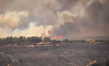 İtalya'da orman yangınları: 30 milyon bal arısı yok oldu