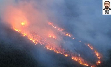 Orman Yangınları Raporu'ndaki gerçek