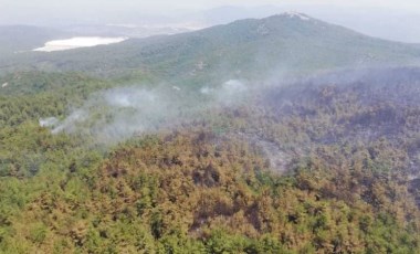 Milas'ta orman yangını yeniden başladı