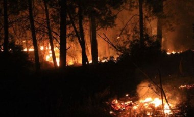 Orman yangınlarında son durum: Muğla'da 5 yangın sürüyor