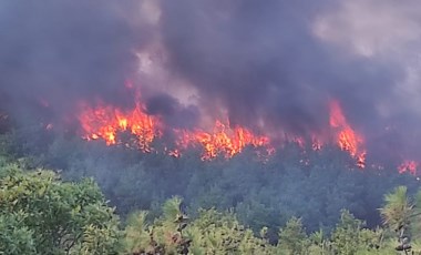 Son dakika... Çanakkale'de orman yangını