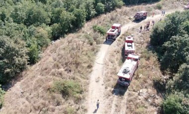 Uludağ eteklerinde orman yangını