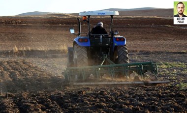 TÜİK’in Tarım Ürünleri Üretici Fiyatları Endeksi, ağustosta 26 ayın en hızlı artışını yaşadı