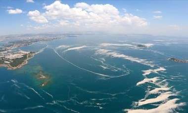 Marmara Denizi'nde müsilajın ardından yeni tehlike: 