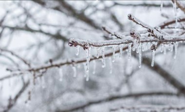 Meteoroloji'den İç Anadolu'daki 5 il için zirai don uyarısı yapıldı