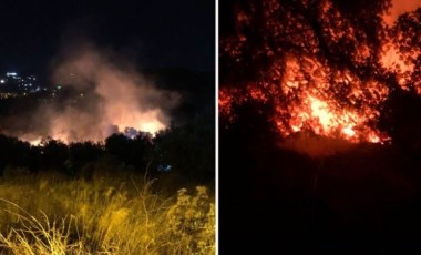 Bodrum'da makilik alanda çıkan yangın, tarım arazilerine sıçradı!