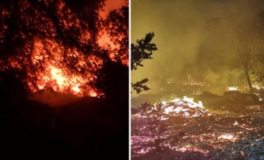 Bodrum Yalıkavak'taki orman yangını söndürüldü, soğutma çalışmalarına geçildi