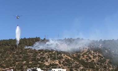 Bodrum'da orman yangını