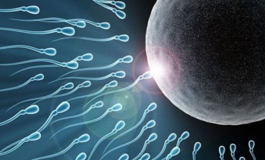 Araştırmada ortaya çıktı: Koronavirüs aşısı erkeklerde sperm sayısını nasıl etkiliyor?