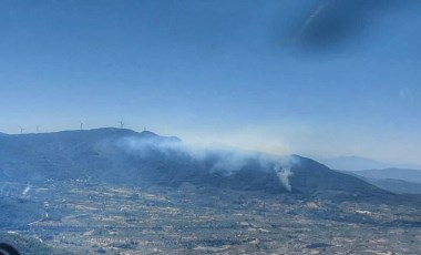 İzmir Kemalpaşa’da orman yangını