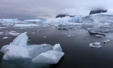 Antarktika'ya gemilerle ulaşan işgalci türler deniz ekosistemini tehdit ediyor