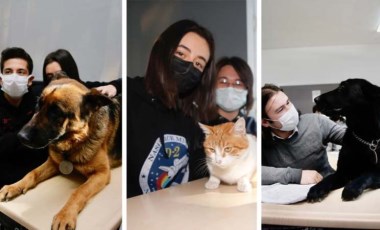 Anadolu Lisesi, 3 köpek ve bir kedi sahiplendi: 'Dersler daha eğlenceli geçiyor'