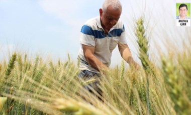 İktidar, Hazine ve TİGEM arazilerinin kiralarına zam yaptı